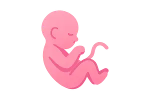 Neonatology and Perinatology