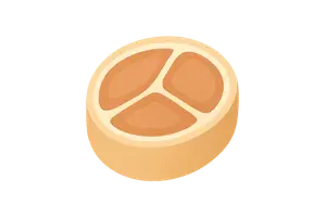 Fascial compartments