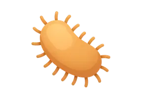 General Microbiology