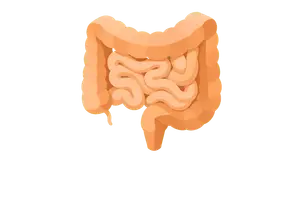 Gastrointestinal Disorders