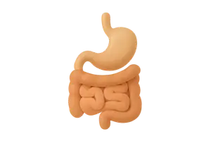 Gastrointestinal System