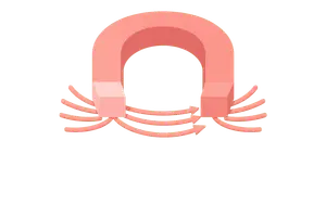 Magnetism & Electromagnetism