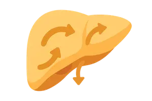 Metabolic Integration