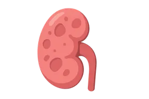 Renal Pathology