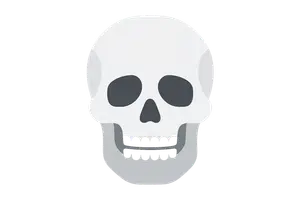 Disaster Victim Identification