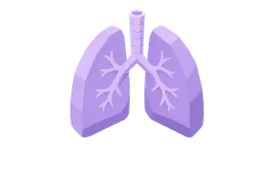 Respiratory System