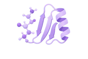 Amino Acids & Protein Structure