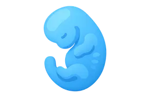 Developmental Anatomy