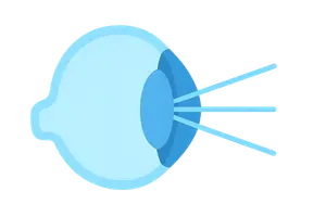 Optics and Refraction