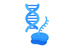 Transcription/translation