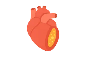 Cardiovascular