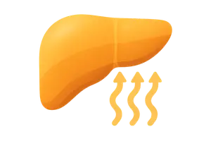 Detoxification Pathways