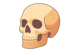 Forensic Anthropology