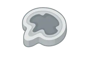 Cross-sectional anatomy