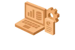 Enterprise and accounting information systems
