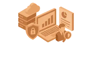 IT environment and service organizations