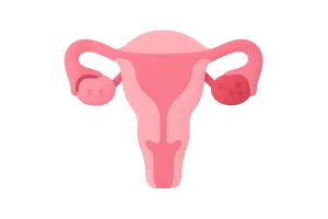 OB/GYN