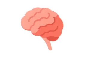 Anatomy