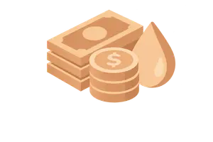 Working Capital and Liquidity