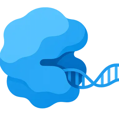 RNA polymerase structure and function