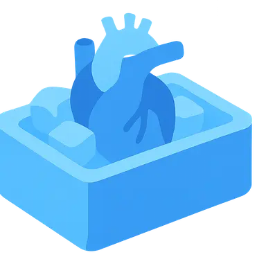 Organ preservation techniques