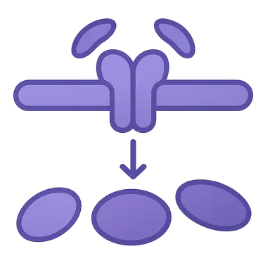 TGF-β/SMAD signaling