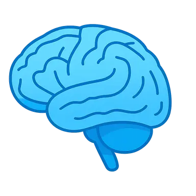 Neuroanatomy for Radiologists