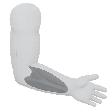 Arm and Cubital Fossa