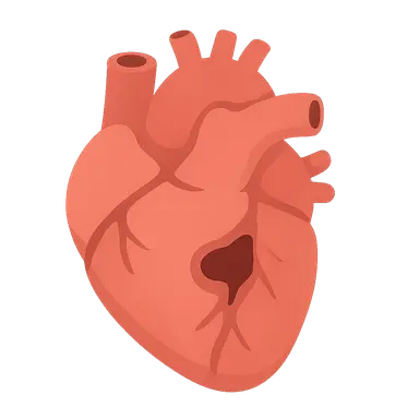 Congenital heart defects requiring surgery