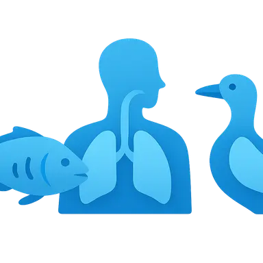 Comparative Respiratory System