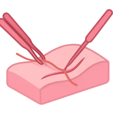 Microsurgical Techniques