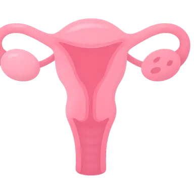 Female Sexual Response Cycle