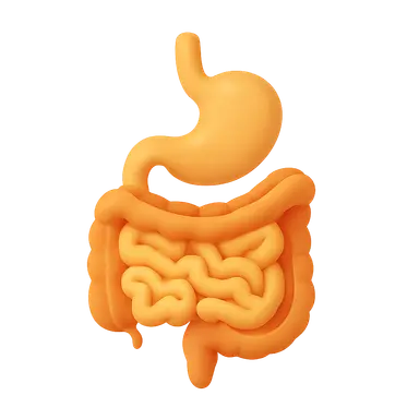 Gastrointestinal hormones