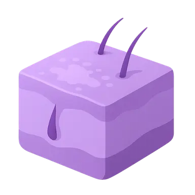 Scleroderma and Related Disorders