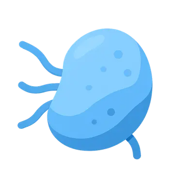 Cells and Tissues of the Immune System