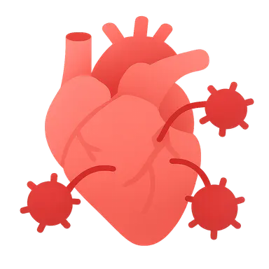Transplant rejection mechanisms