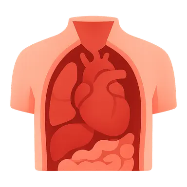 Internal Examination