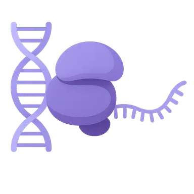 Gene Expression and Regulation