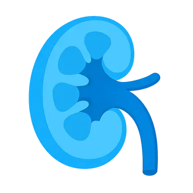 CKD complications management