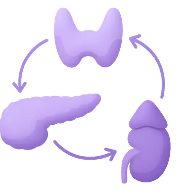Endocrine feedback systems