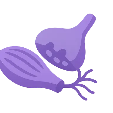 Neuromuscular Blocking Agents