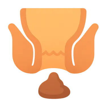 Fecal Incontinence