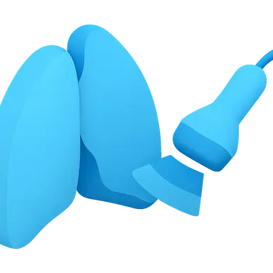 Lung Ultrasound