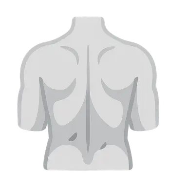 Back surface landmarks