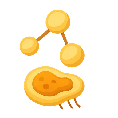 Homocystinuria and methionine metabolism disorders