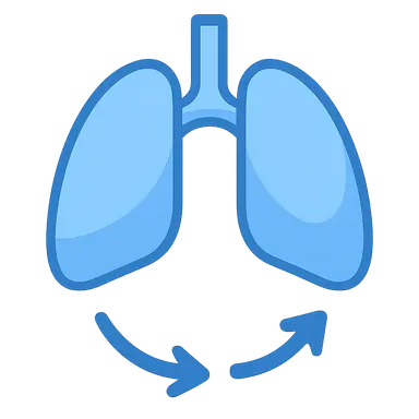 Integrated respiratory responses