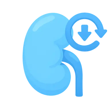 Negative feedback mechanisms