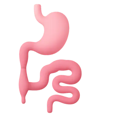 Gastrointestinal malformations