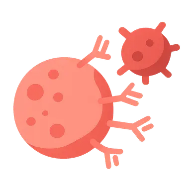 Immune Response to Infections