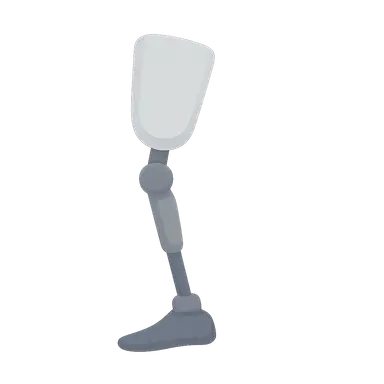 Biomechanics of Prostheses